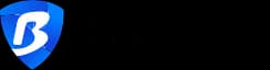 BitBrowser：全面评测 Logo