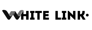 White Link Logo